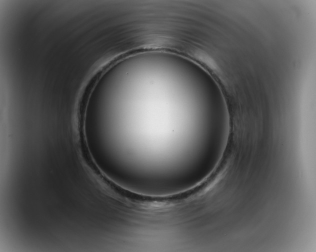X0000089341122200706151038