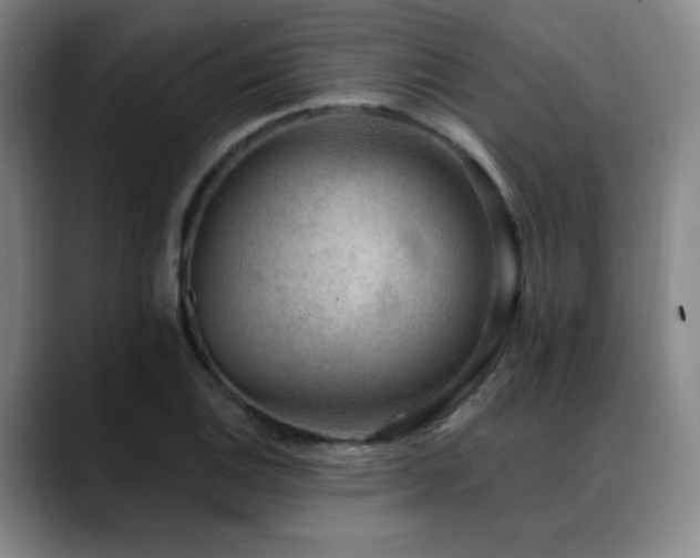 X0000089341124200706151038