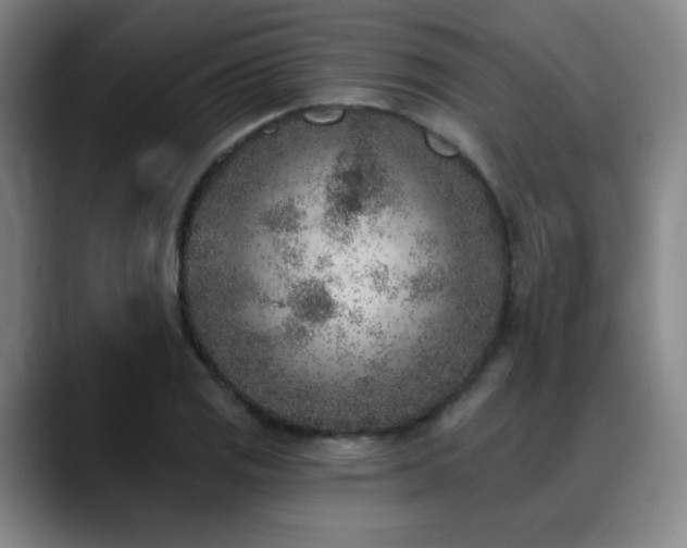 X0000089341125200706151038