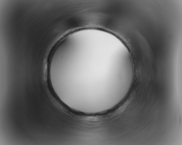X0000089341126200706151038