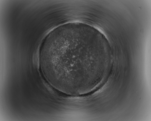 X0000089341127200706151038