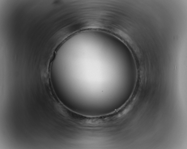 X0000089341129200706151038