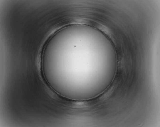 X0000089341130200706151038