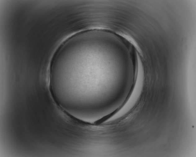 X0000089341132200706151038