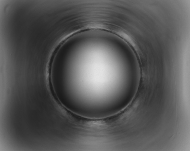 X0000089341133200706151038