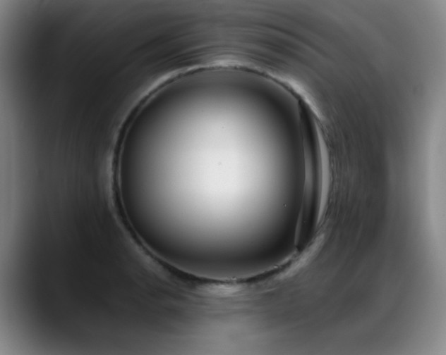 X0000089341134200706151038