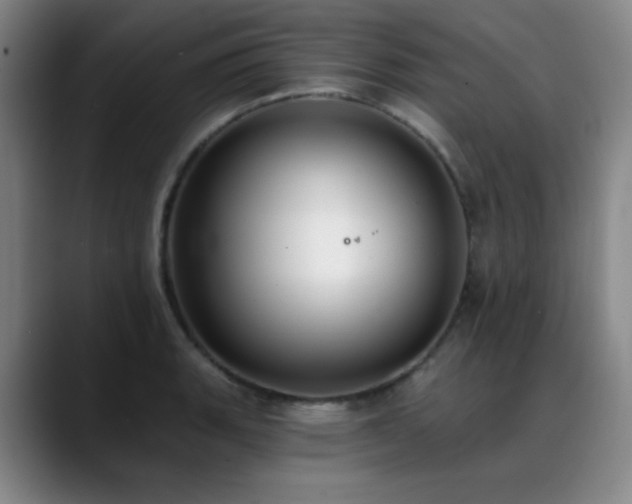 X0000089341135200706151038