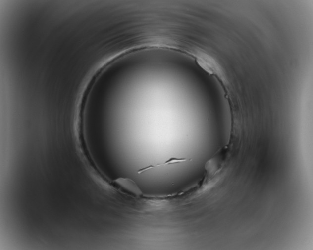 X0000089341136200706151038