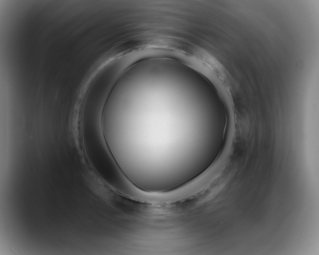 X0000089341138200706151038