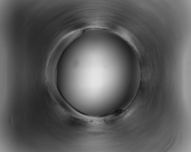 X0000089341140200706151038