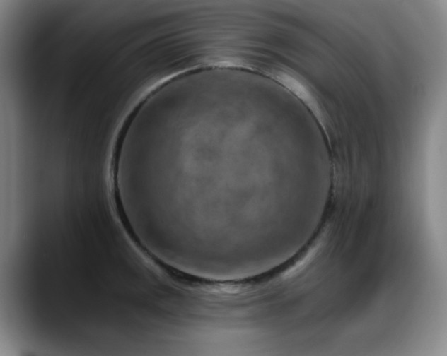 X0000089341141200706151038