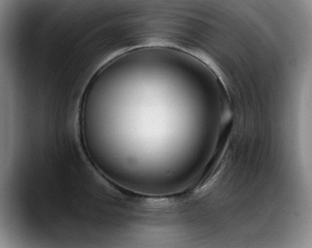 X0000089341142200706151038