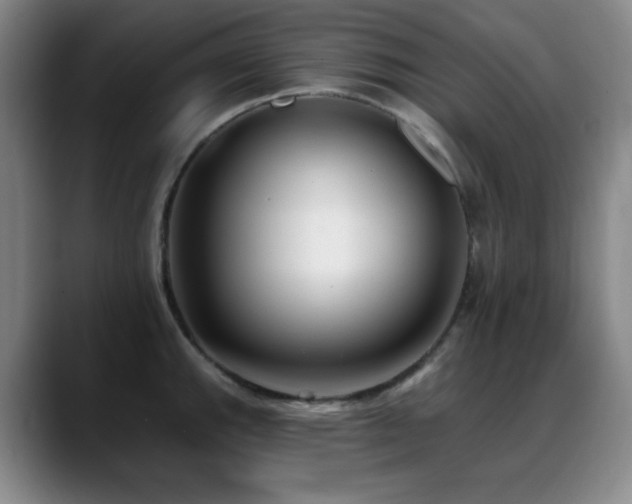 X0000089341143200706151038