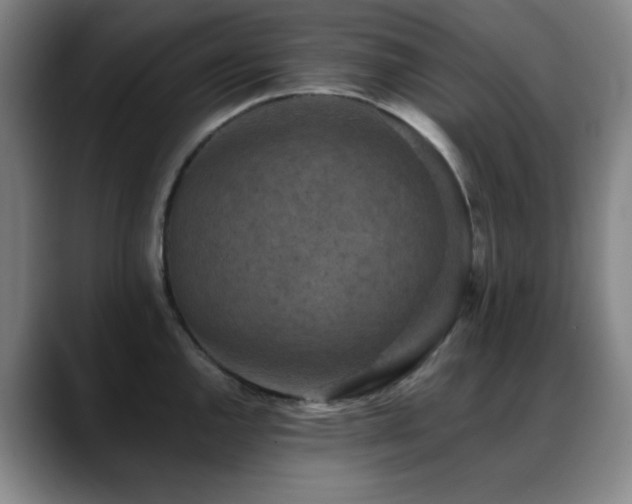X0000089341144200706151038