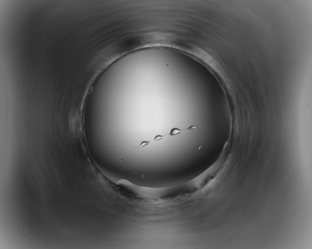 X0000089341145200706151038