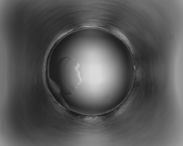 X0000089341146200706151039