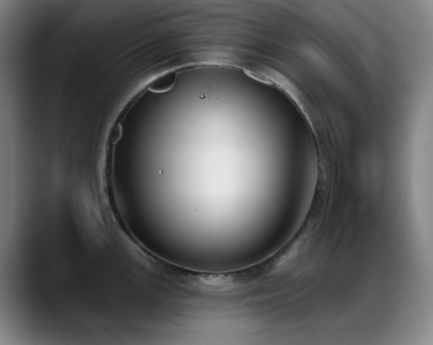X0000089341147200706151039