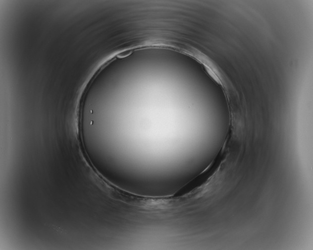 X0000089341148200706151039