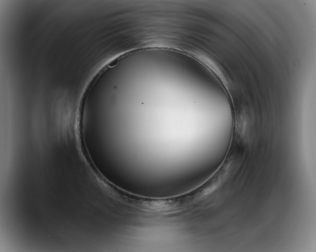 X0000089341149200706151039