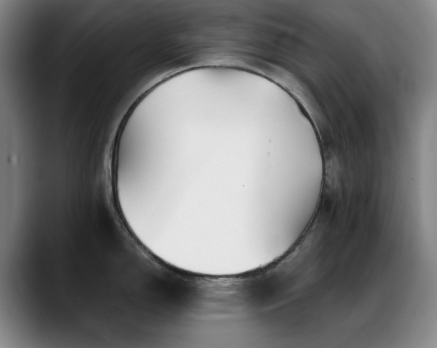 X0000089341150200706151039