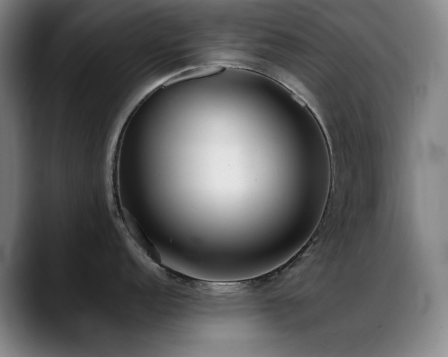 X0000089341152200706151039