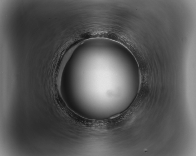 X0000089341153200706151038