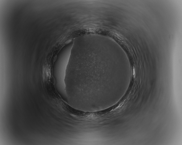 X0000089341155200706151038