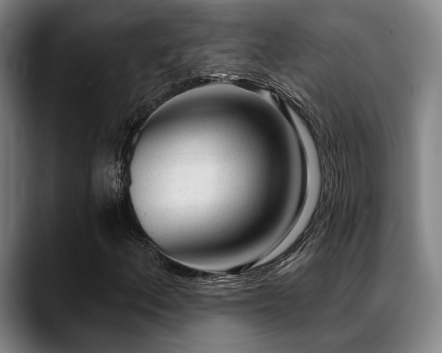 X0000089341156200706151038