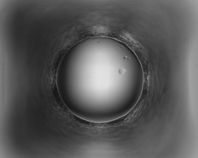X0000089341157200706151038
