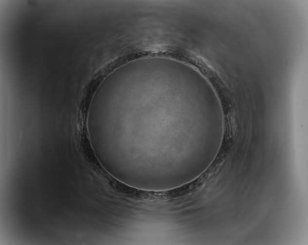 X0000089341158200706151038