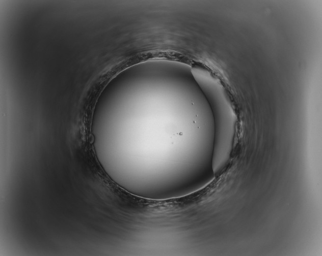 X0000089341159200706151038