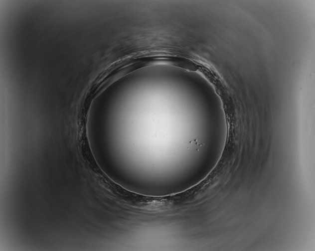 X0000089341160200706151038