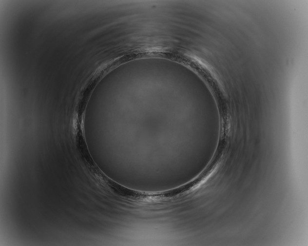 X0000089341161200706151038