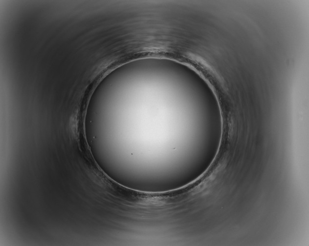X0000089341162200706151038
