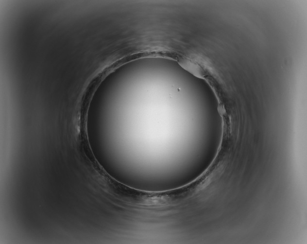 X0000089341165200706151038