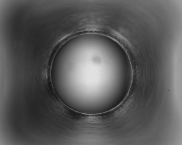 X0000089341166200706151038