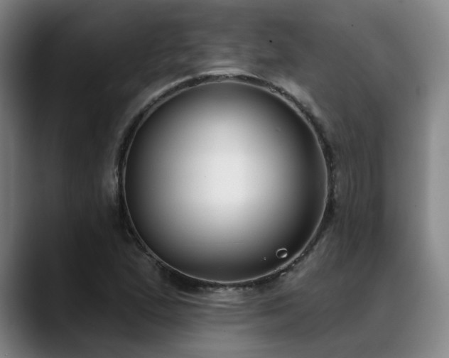 X0000089341167200706151038