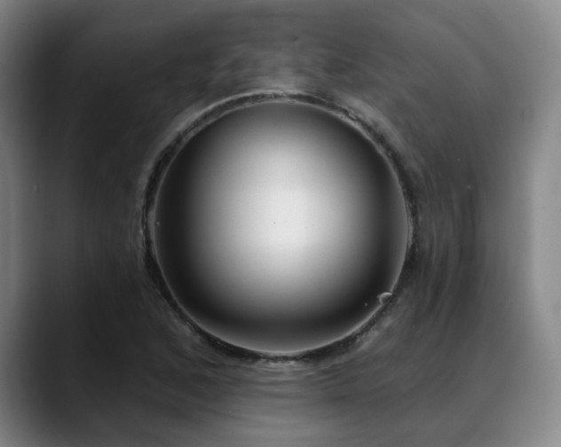 X0000089341168200706151038