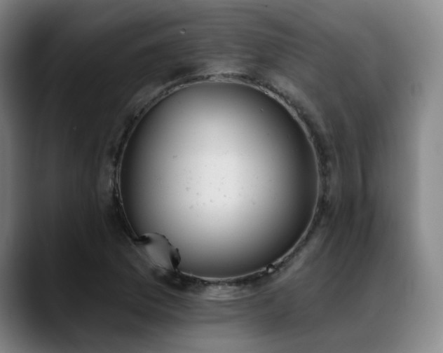 X0000089341169200706151038