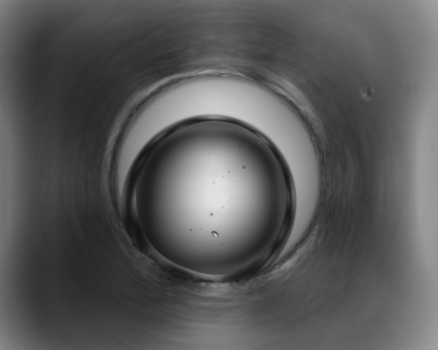 X0000089341172200706151038