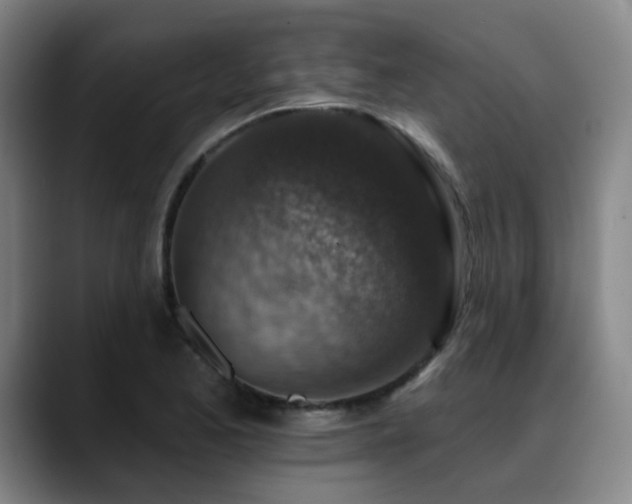 X0000089341173200706151038