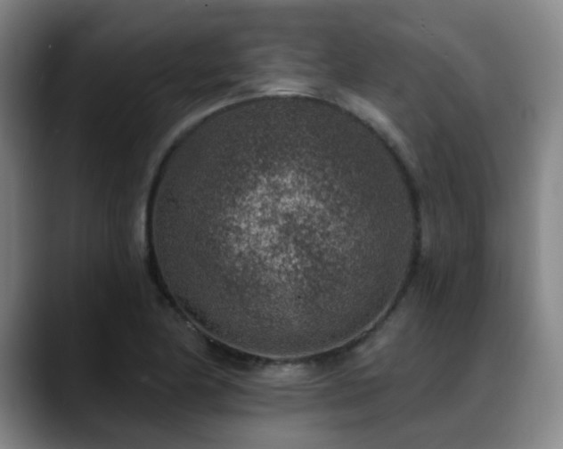 X0000089341174200706151038
