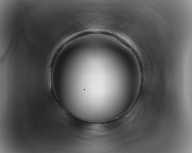 X0000089341175200706151038