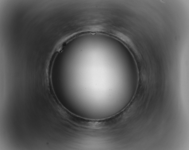 X0000089341176200706151038