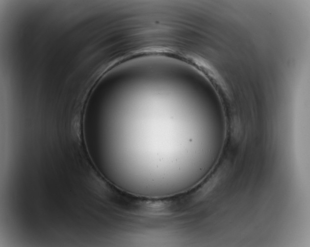 X0000089341177200706151038