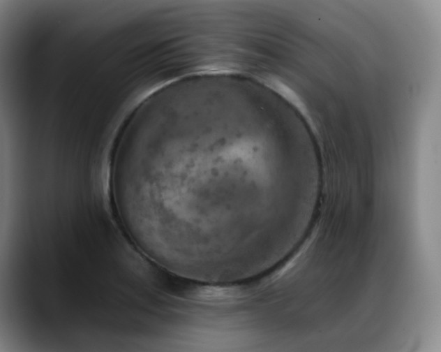 X0000089341179200706151038