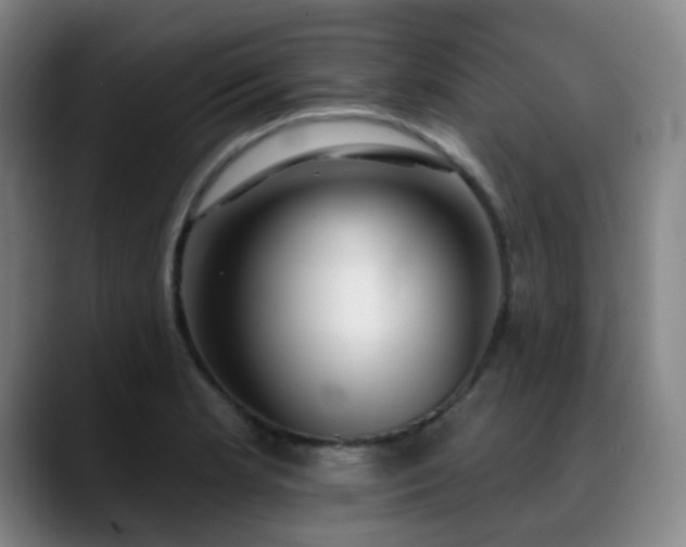 X0000089341181200706151038