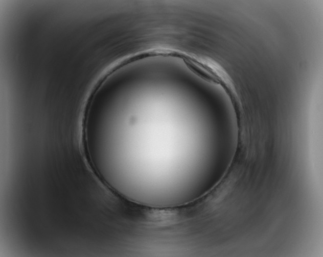 X0000089341183200706151038