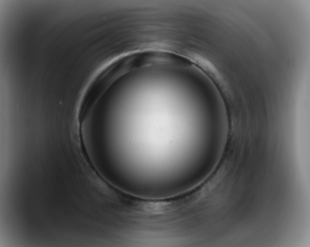 X0000089341184200706151038