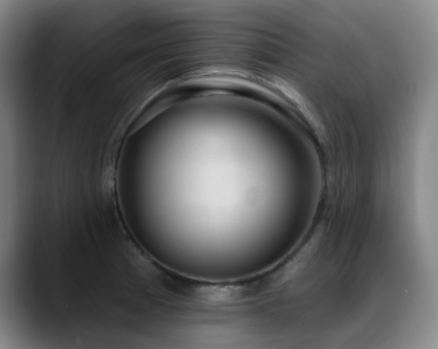 X0000089341185200706151038